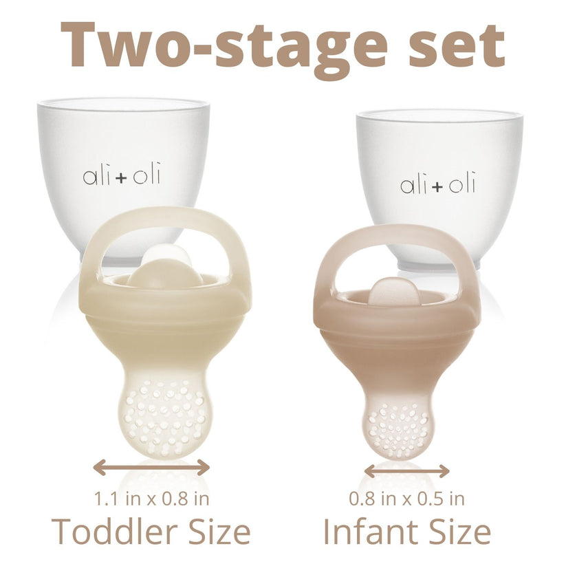 Ali+Oli Silicone Food & Fruit Feeder 2-Pack