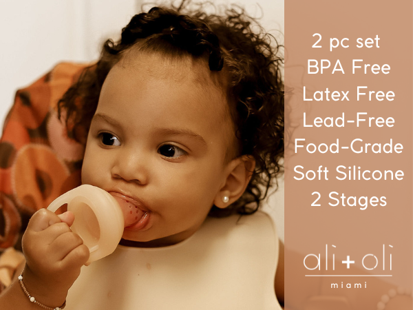 Ali+Oli Silicone Food & Fruit Feeder 2-Pack