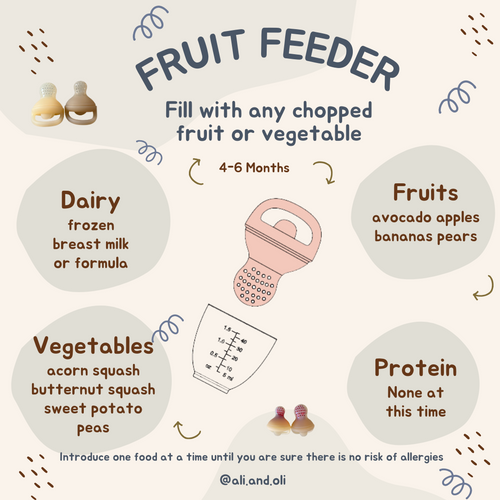 Ali+Oli Silicone Food & Fruit Feeder 2-Pack