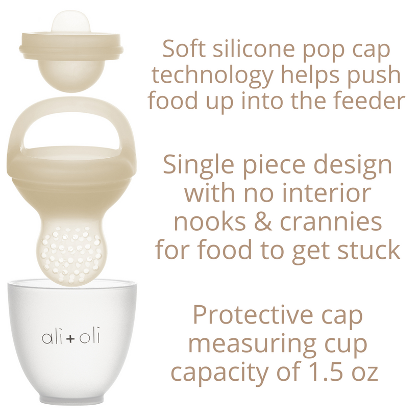 Ali+Oli Silicone Food & Fruit Feeder 2-Pack