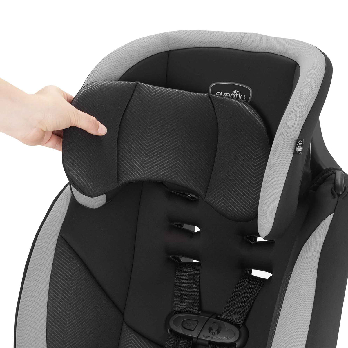 Evenflo maestro sale