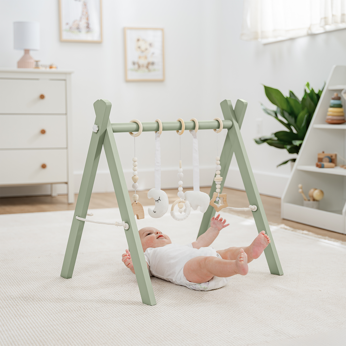Comfy Cubs Baby Play Gym