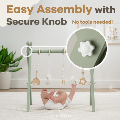 Comfy Cubs Baby Play Gym
