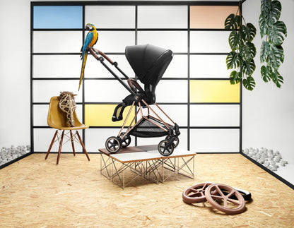 Cybex Platinum Mios 3 Stroller Combo