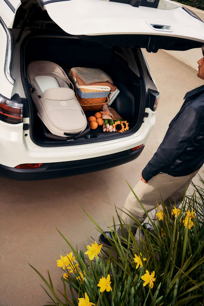 Bugaboo Dragonfly Complete Stroller