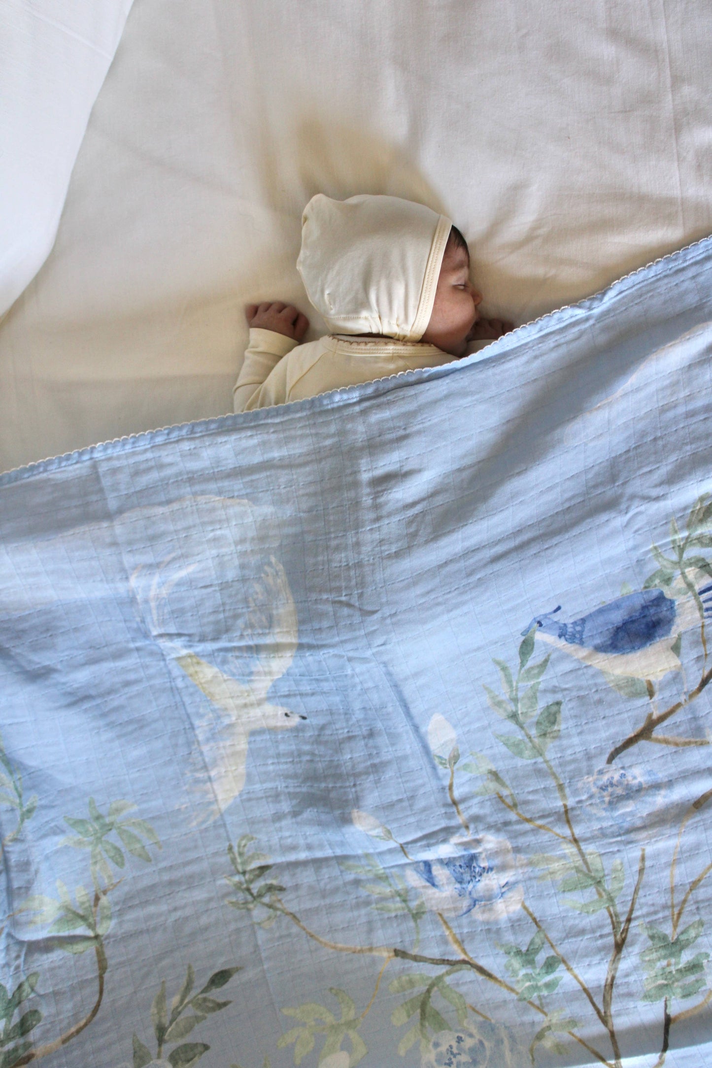 Little Threads The Dove Muslin Blanket