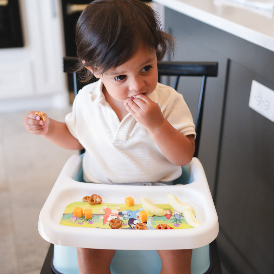 The First Years Mealtime Booster Seat