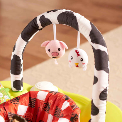 Evenflo Mega Playful Pastures Exersaucer DLX
