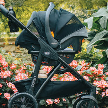 Load image into Gallery viewer, Chicco Corso Primo ClearTex Travel System - Aspen
