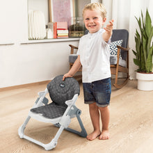 Load image into Gallery viewer, Chicco Take-A-Seat Booster Seat
