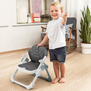 Chicco Take-A-Seat Booster Seat