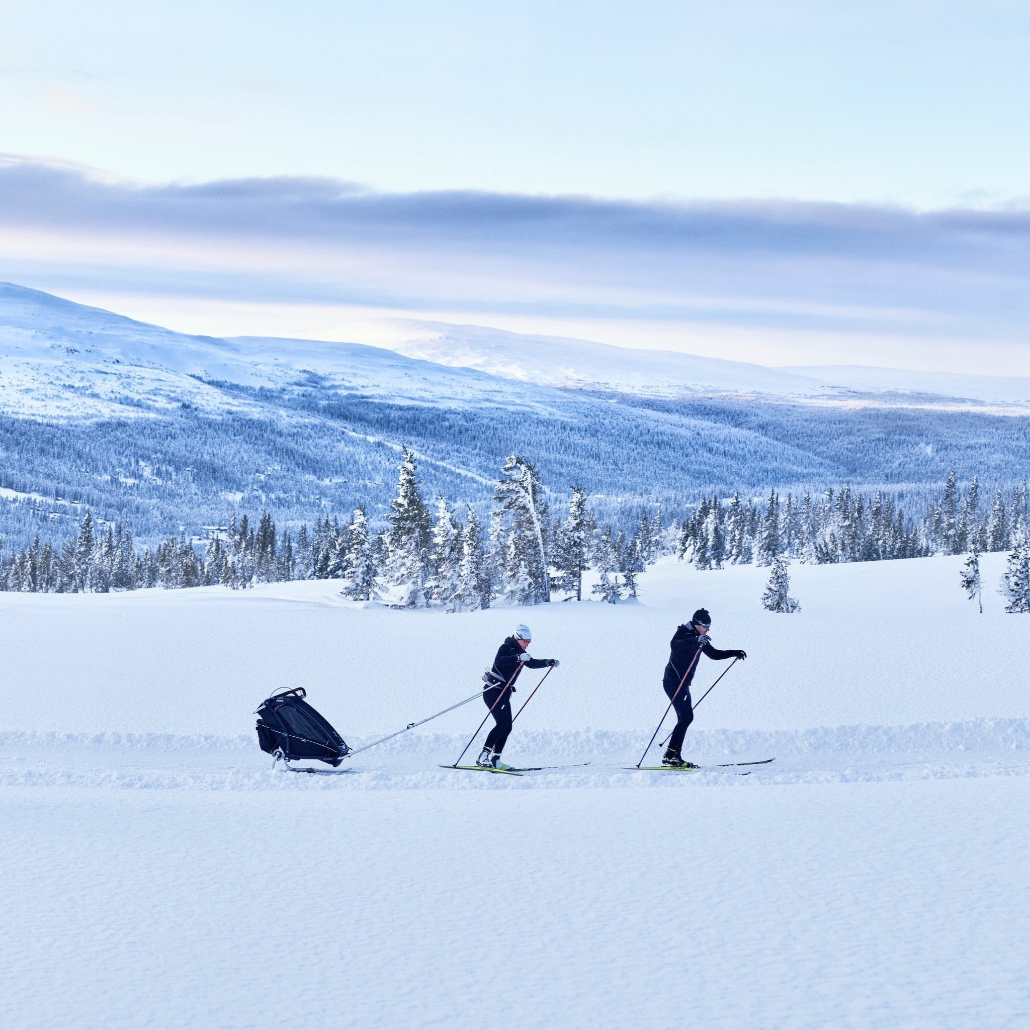 Thule chariot 2025 winter