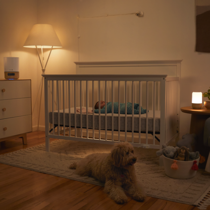 Safety 1ˢᵗ WiFi Baby Monitor