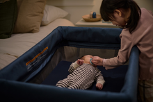 Load image into Gallery viewer, UPPAbaby Remi Playard
