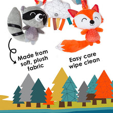 Load image into Gallery viewer, Diono Activity Spiral Baby Toy
