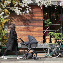 Load image into Gallery viewer, Diono Editions Excurze Mid-Size Stroller
