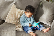 Load image into Gallery viewer, Tiny Love Wonder Buddies
