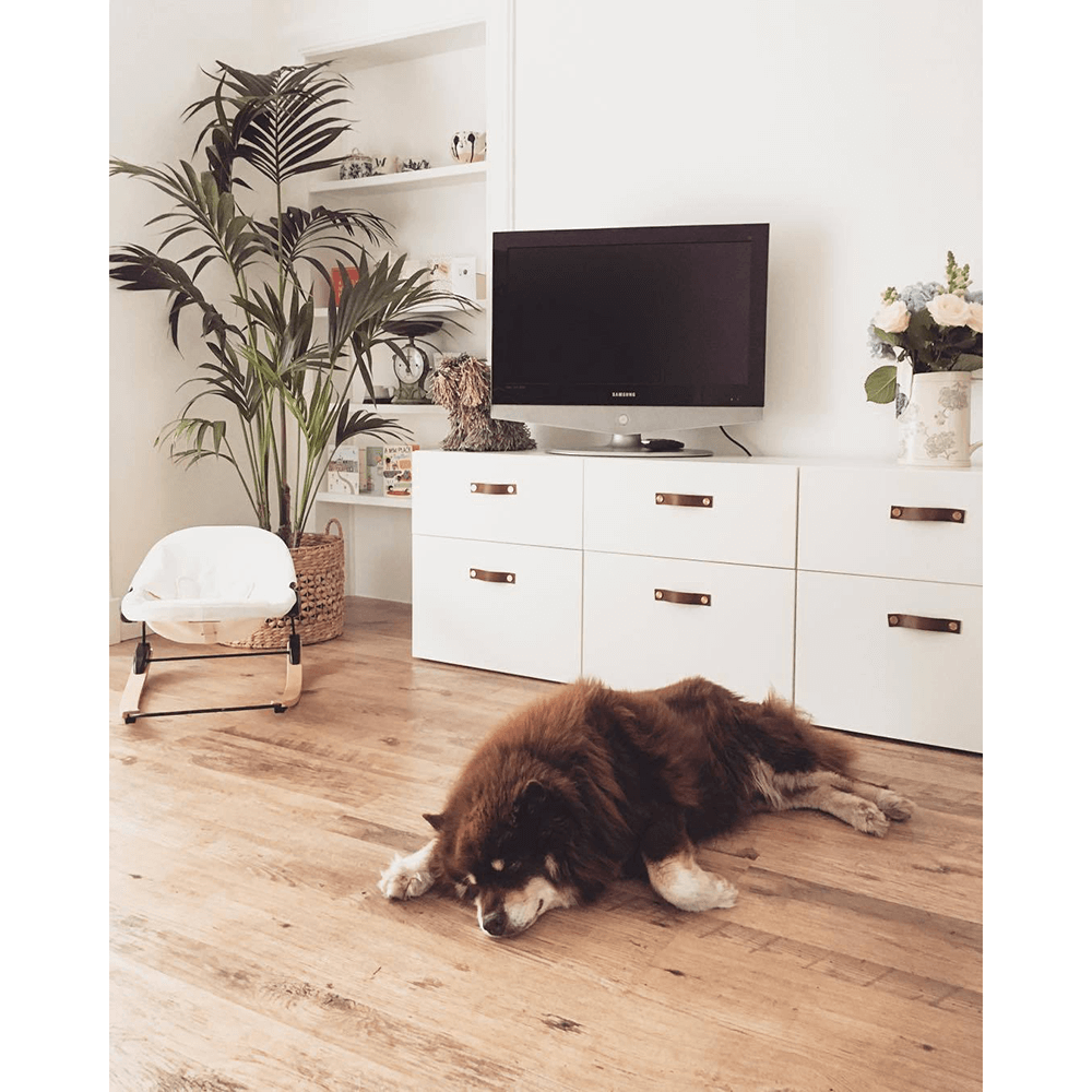 Bloom Baby Coco Go 3 in 1 Baby Lounger Swaddles Baby