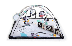 Tiny Love Gymini Deluxe Activity Gym Play Mat