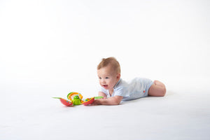 Tiny Love Explore & Play Apple Developmental Activity Toy