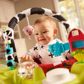 evenflo mega saucer Evenflo Mega Playful Pastures Exersaucer DLX – Swaddles Baby